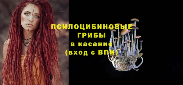 гашик Абинск