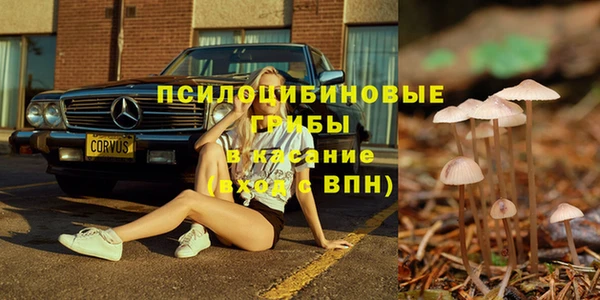 не бодяженный Абаза