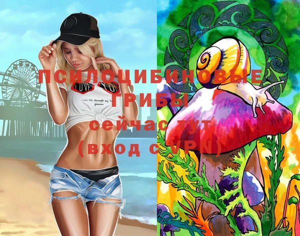 синтетический гашиш Переславль-Залесский