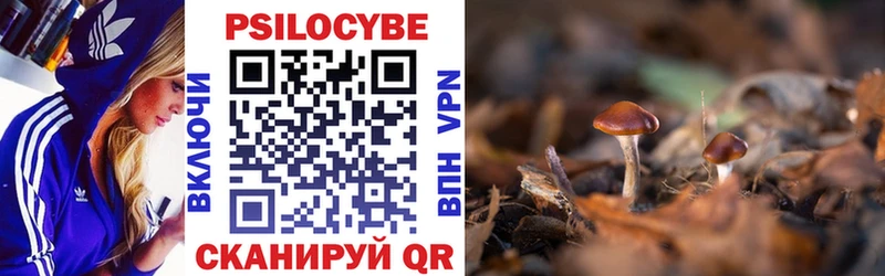 Псилоцибиновые грибы MAGIC MUSHROOMS  мега как войти  Новопавловск 